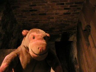 Mr Monkey looking down at the tailrace