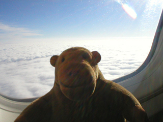 Mr Monkey looking out of a plane window