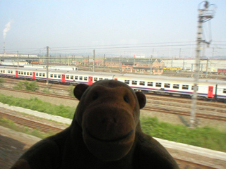 Mr Monkey looking out of a train window