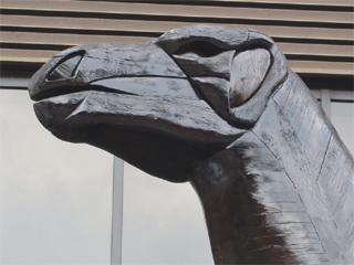 The head of the wooden iguanodon