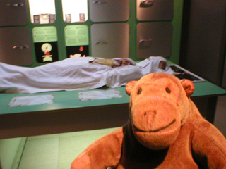 Mr Monkey looking at a not-real autopsy
