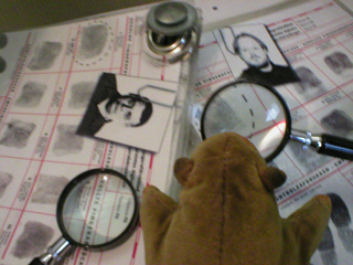 Mr Monkey inspecting some fingerprints