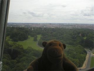 Mr Monkey looking at some plant dinosaurs