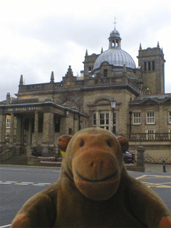 Mr Monkey looking at the Royal Baths