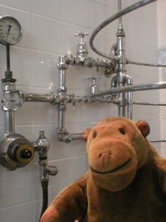 Mr Monkey looking at a Combination Bath