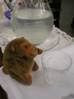 Mr Monkey looking dubiously at glass of spa water