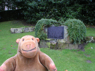 Mr Monkey looking at the US Army hospital tablet