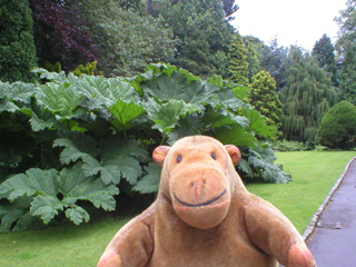 Mr Monkey looking at plants beside the Elgar Walk