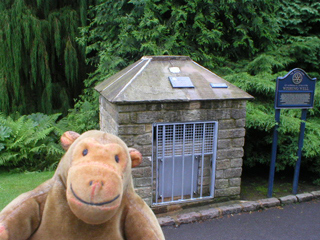 Mr Monkey looking at the charity Wishing Well