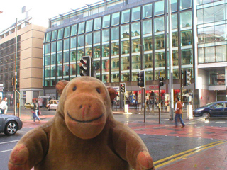 Mr Monkey looking at reflections in windows