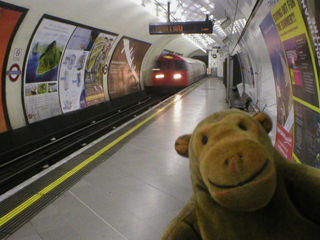 Mr Monkey watching a Bakerloo line train arrive