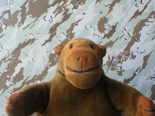 Mr Monkey in front of DPMHI Desert Bonsai pattern camouflage