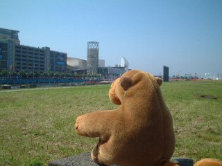 Mr Monkey looking at the Lowry complex