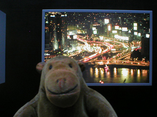 Mr Monkey looking at a picture of a city at night