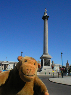 Mr Monkey looking at Nelson's Column