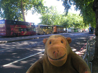 Mr Monkey looking at tourist coaches parked on the Embankment