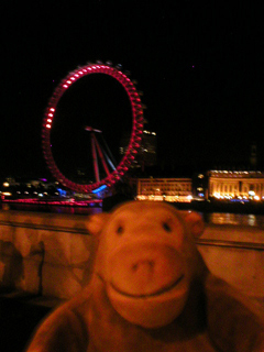 Mr Monkey looking at the London Eye at night