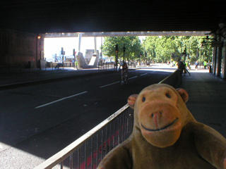 Mr Monkey watching a cyclist race along the Embankment