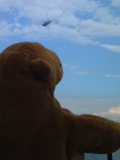 Mr Monkey watching an airship