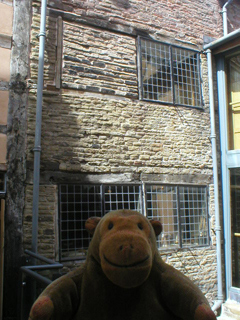 Mr Monkey looking along the canal towpath