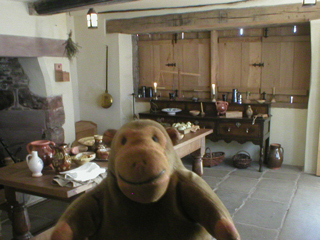 Mr Monkey looking at the kitchen of the Staircase House