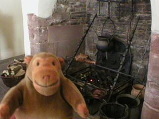 Mr Monkey examining the kitchen fireplace