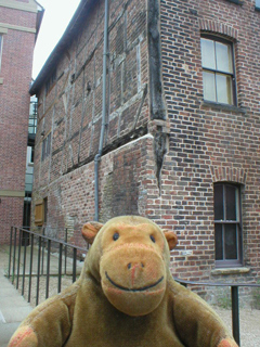 Mr Monkey looking at the back of the Staircase House