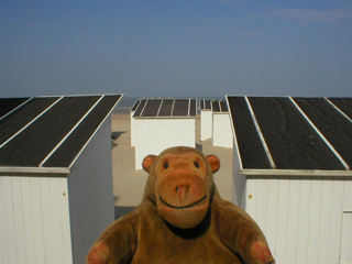 Mr Monkey looking at beach huts outside his hotel