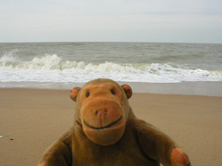 Mr Monkey wandering Ostende airport