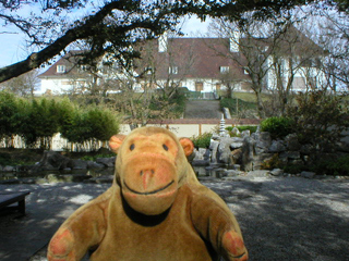Mr Monkey looking at the Japanese garden