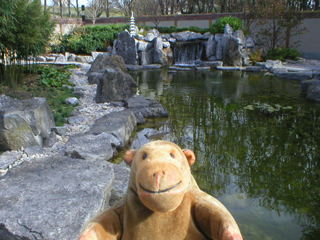 Mr Monkey looking towards the waterfall