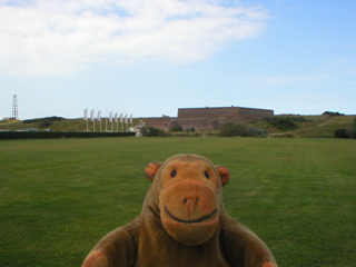 Mr Monkey looking across a sports field towards Fort Napoleon