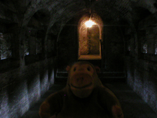 Mr Monkey looking at the inside of a caponier