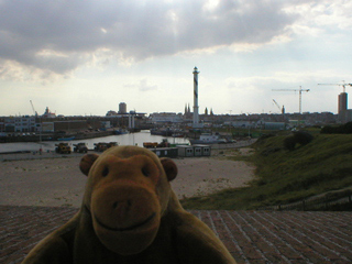 Mr Monkey looking south west from Fort Napoleon