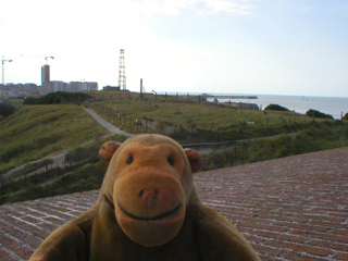 Mr Monkey looking west from Fort Napoleon