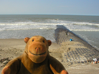 Mr Monkey watching waves break on a breakwater