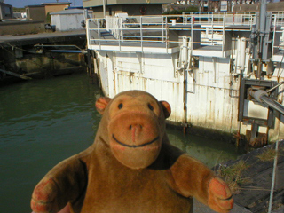 Mr Monkey looking at the lock gates to the Visserijdok