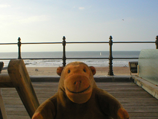 Mr Monkey looking at the North Sea from his terrace