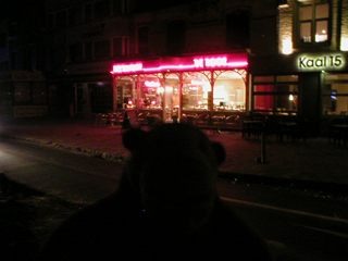 Mr Monkey looking at the De Roos restaurant in the dark