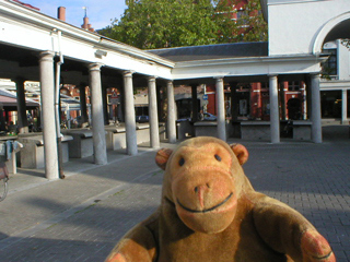 Mr Monkey looking looking around the fish market