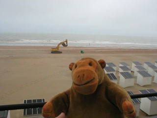 Mr Monkey watching a digger on the beach