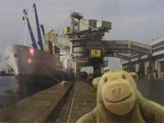 Mr Monkey looking at a photo of a freighter unloading bananas
