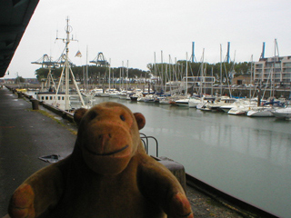 Mr Monkey looking towards the container port