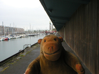 Mr Monkey looking towards the light ship