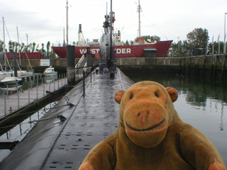 Mr Monkey looking along the deck of the Foxtrot