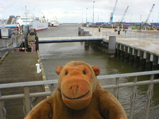 Mr Monkey looking down on the entrance to the Vlokdok