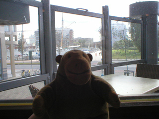Mr Monkey looking at the marina from Faro