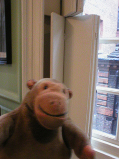 Mr Monkey looking at some window shutters