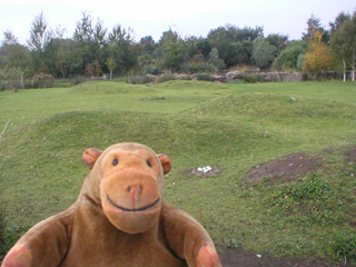 Mr Monkey looking at the Wetland Centre's version of Siberia