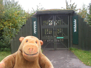 Mr Monkey approaching the gateway to the Wildside